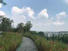-水月周庄铂尔曼酒店 · 漾全日餐厅
