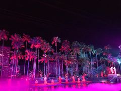 -三亚红色娘子军演艺公园景区