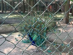 -南京金牛湖风景区