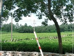 -美的鹭湖探索王国