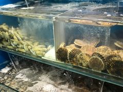 -苏大嘴海鲜牧场(奥林匹克店)