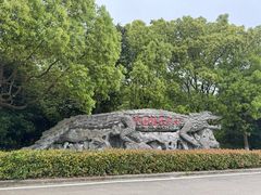 -中国扬子鳄村