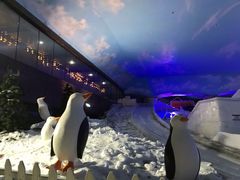 -世界之窗阿尔卑斯冰雪世界