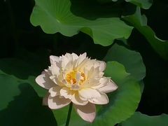 -重元寺