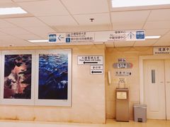-圣德肋撒医院