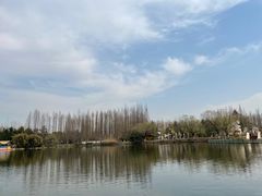 -东平国家森林公园