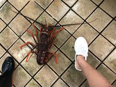 -广东名门