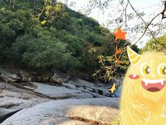 -海南霸王岭国家森林公园