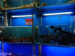 水产区-蔚海之都·象山蒸汽海鲜(仙霞路店)