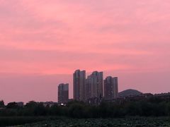 -前关湿地公园