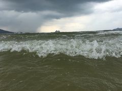 -同济大学四平路校区游泳馆