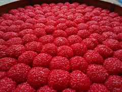 杨梅果-诸暨市岭北镇仕新农庄