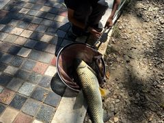 -酷鱼垂钓CLUB(朝阳区博大路店 )