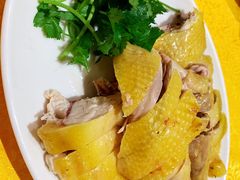 -黄B湛江鸡饭店(粤垦路店)