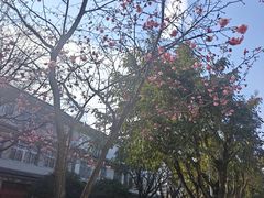 -大理床单厂艺术区