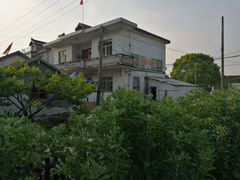 -大莲湖农家乐(青西郊野公园店)