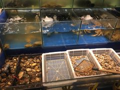 -老宁波1381餐厅(桃源中路店)