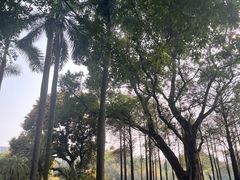 -晓港公园