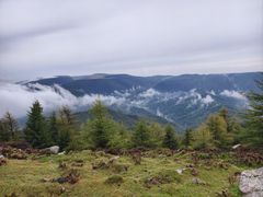 -芦芽山旅游度假区