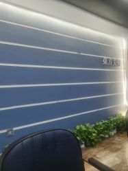 -东方美妍