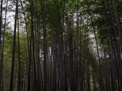 -求雨山文化公园