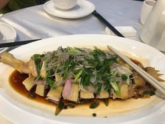 -品泉餐厅·大盆鱼·走地鸡