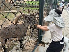 -大连森林动物园