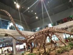 -自贡恐龙博物馆