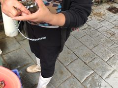 -青石桥市场北1-27号