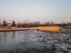 -绿堤公园