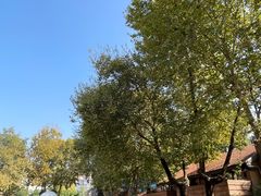 -西安电影制片厂