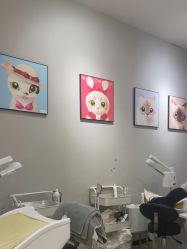 -洗脸猫·洗脸吧