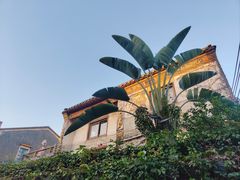 -三溪村