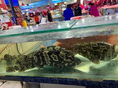 -锦绣大地生鲜食品厅(巨山路店)
