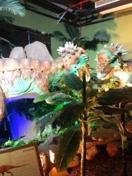 -恐龙探索乐园(磁器口店)