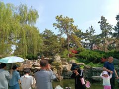 -西安青龙寺遗址景区