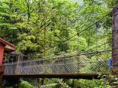 -西岭雪山大飞水景区