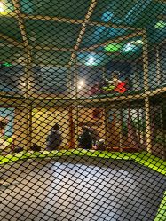 -KidSteam儿童乐园(富力城店)