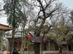 -大理文庙(大理古城)