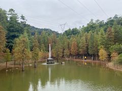 -广州市帽峰山景区