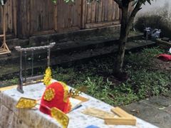 -杨家堂村