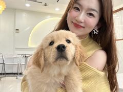 -共舞时光猫咖·狗咖(新街口店)