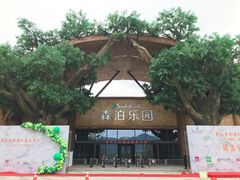 -杭州开元森泊度假乐园
