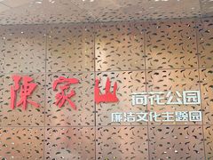 -陈家山荷花公园