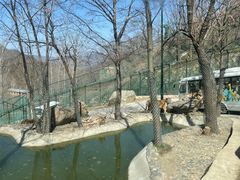 -栾川竹海野生动物园