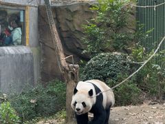 -成都动物园