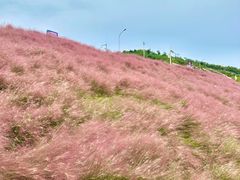 -沂蒙云瀑洞天景区