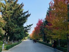 -辽宁大学(崇山校区)