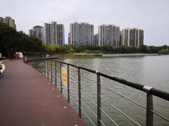 -南翔镇银翔湖公园
