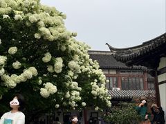 -常熟方塔园